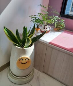 客廳裡的叢林 3